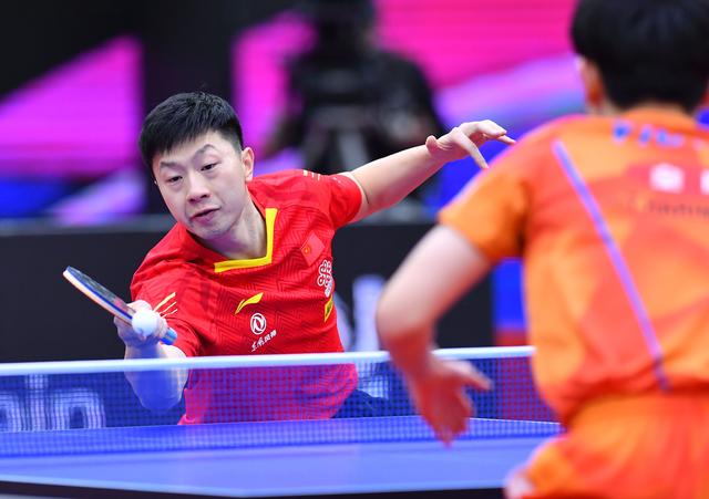 充满了优雅 充满了优雅